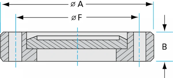 CF-Flanges-16-1-and-2-Inches-Dia-C