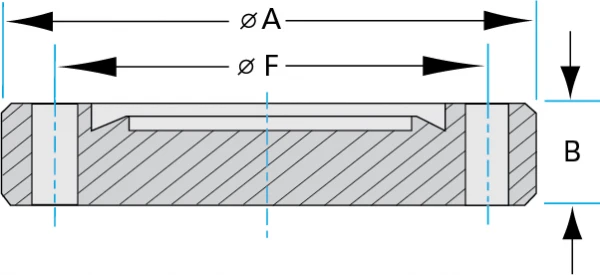 CF-Flanges-14-Inch-Dia-A