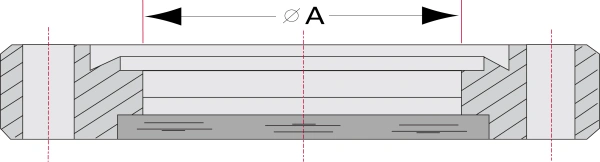 CF_ZL Viewport _ 1.19.2024