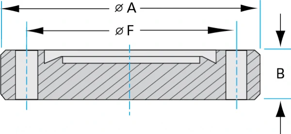 CF-Flanges-2-1-and-8-Inch-Dia-A